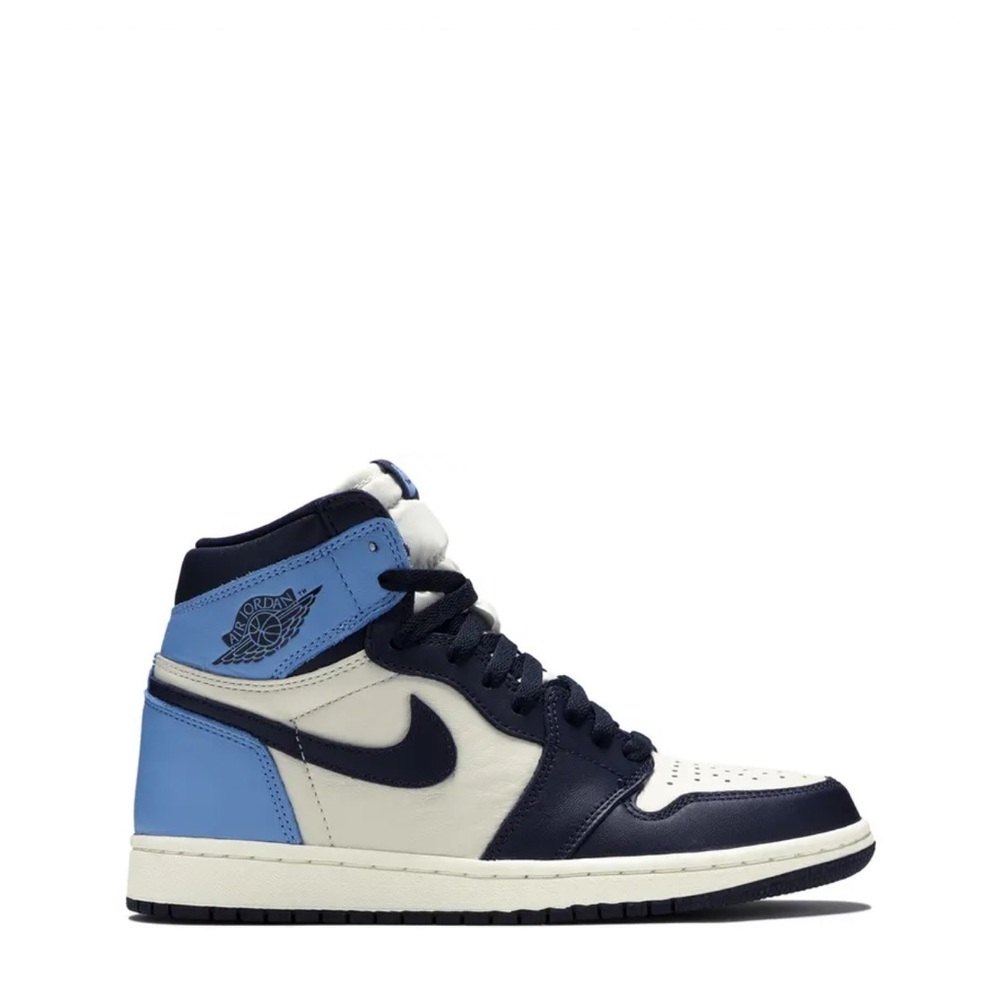 2019 Air Jordan Retro High  OG obsidian  Tops in Blue and Black